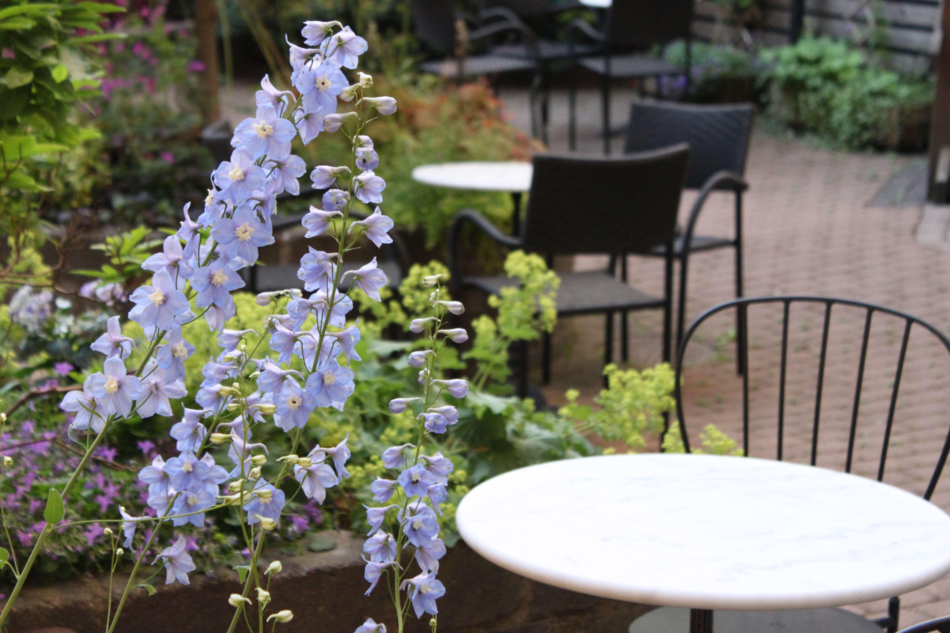 Best Western Hotell Ljungby Ljungby  Extérieur photo